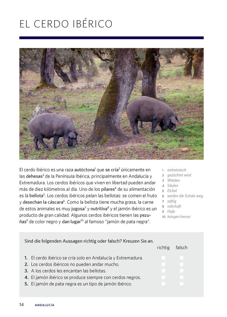 Weitere Ansicht: Langenscheidt Die kulinarische Sprachreise Spanisch