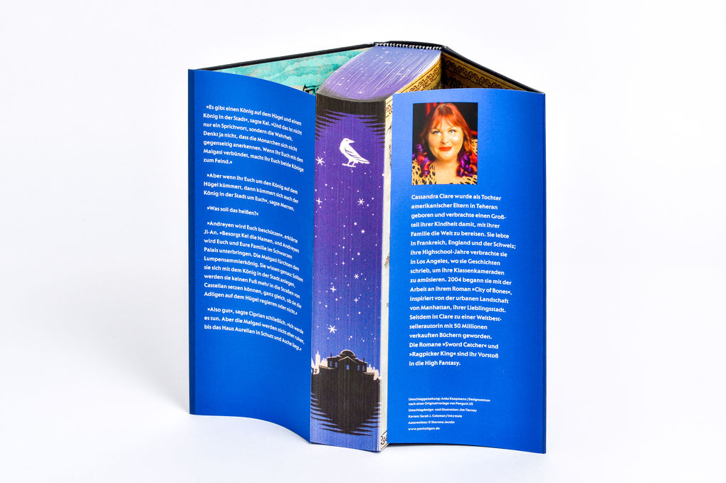 Weitere Ansicht: Ragpicker King - Die Chroniken von Castellan | Cassandra Clare