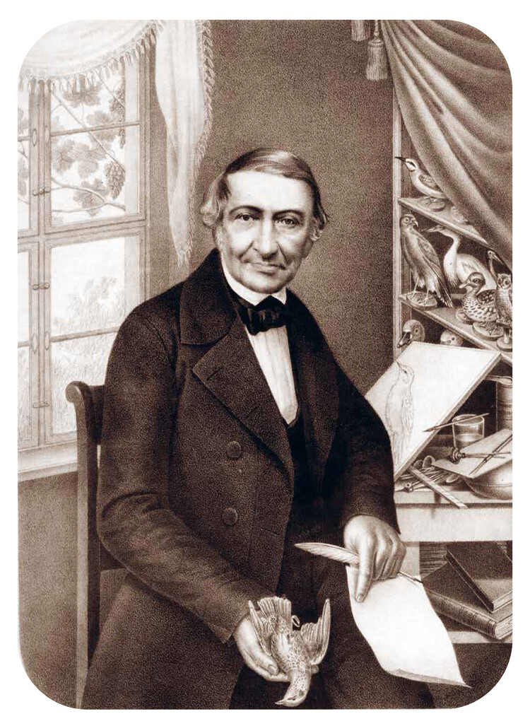 Weitere Ansicht: Die Vögel Mitteleuropas (Jubiläumsausgabe) | Johann Friedrich Naumann