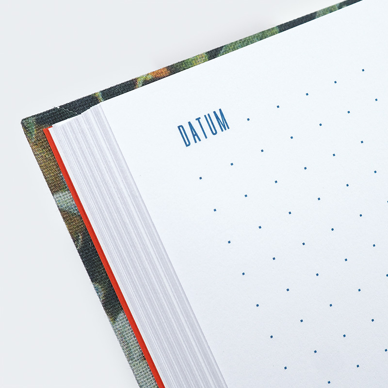 Weitere Ansicht: 100 Seiten Leben