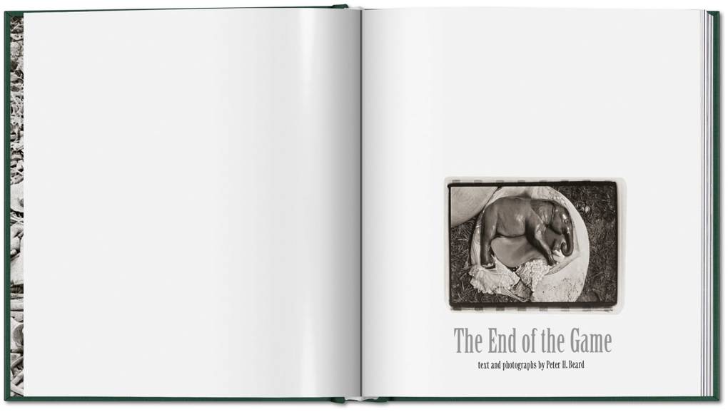 Weitere Ansicht: Peter Beard | Peter Beard