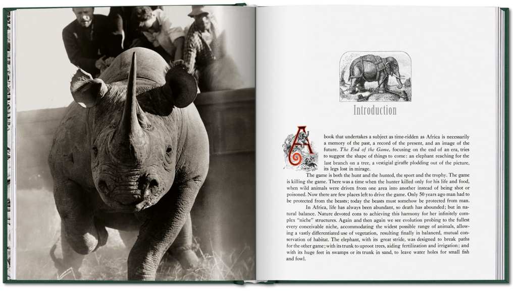 Weitere Ansicht: Peter Beard | Peter Beard