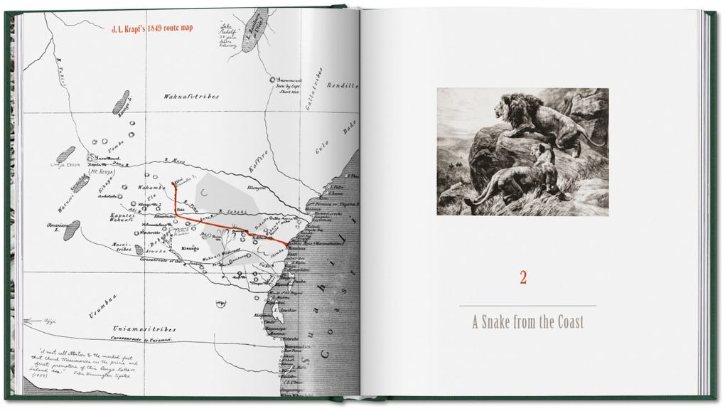 Weitere Ansicht: Peter Beard | Peter Beard