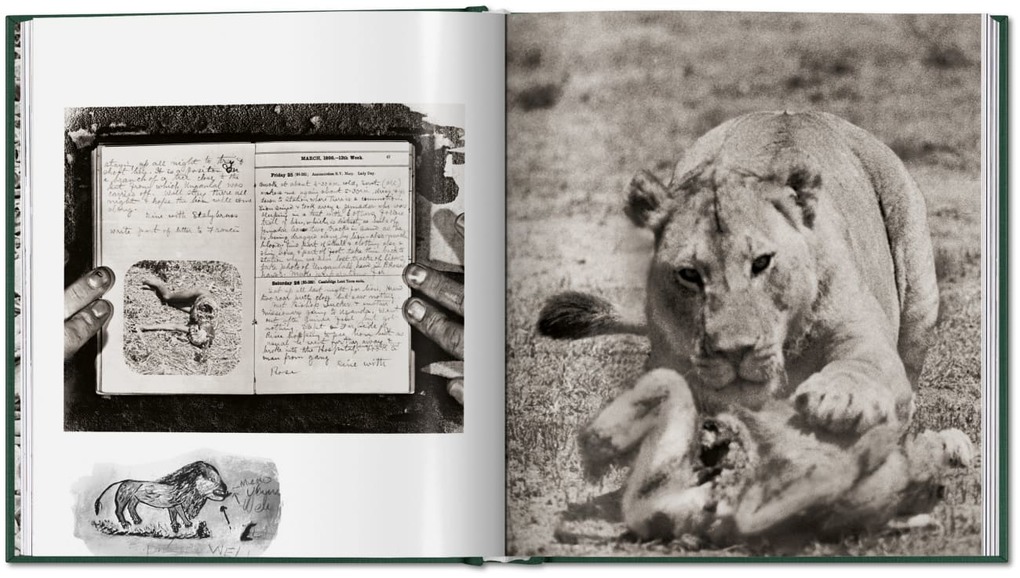 Weitere Ansicht: Peter Beard | Peter Beard
