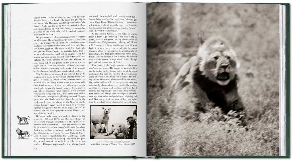 Weitere Ansicht: Peter Beard | Peter Beard