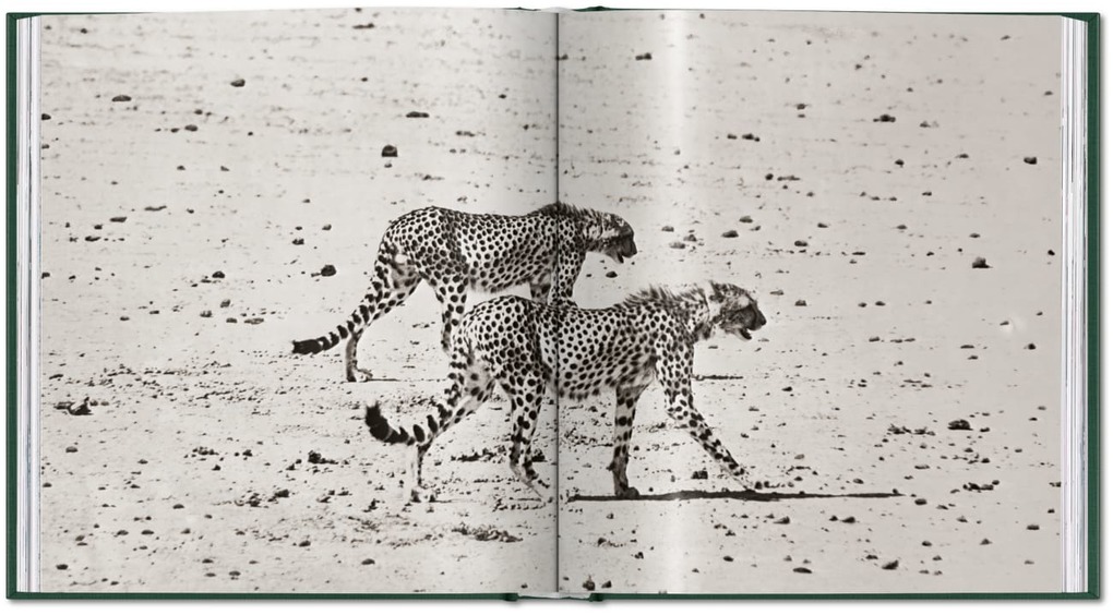 Weitere Ansicht: Peter Beard | Peter Beard