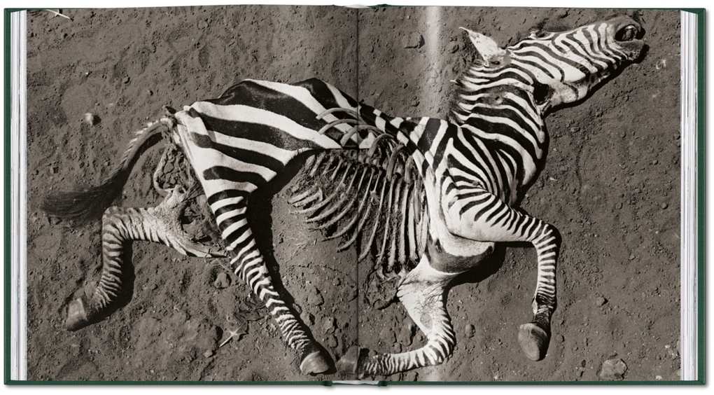 Weitere Ansicht: Peter Beard | Peter Beard