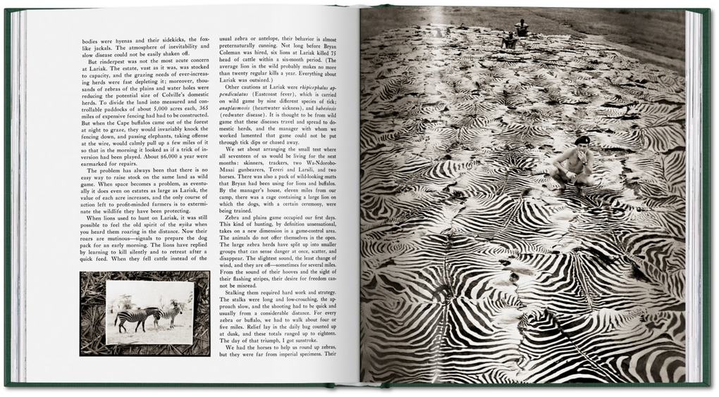 Weitere Ansicht: Peter Beard | Peter Beard