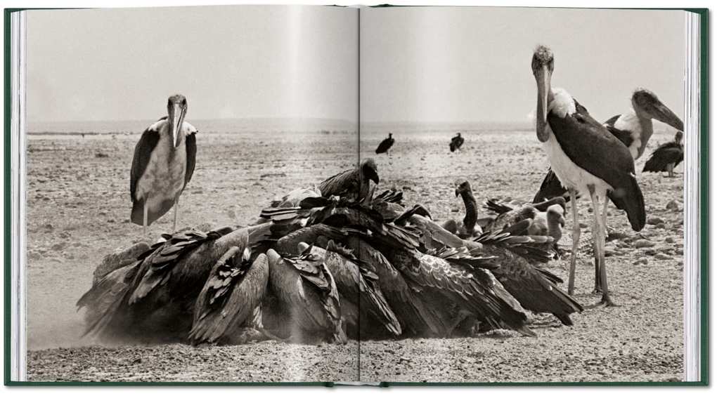 Weitere Ansicht: Peter Beard | Peter Beard