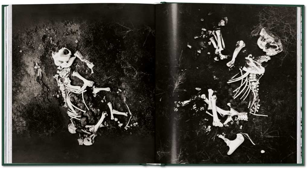 Weitere Ansicht: Peter Beard | Peter Beard