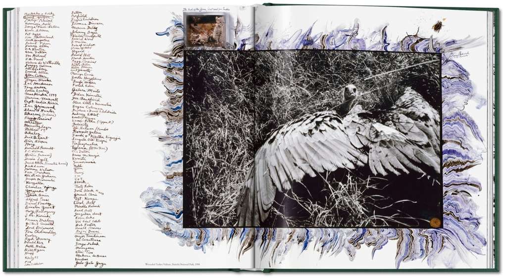 Weitere Ansicht: Peter Beard | Peter Beard