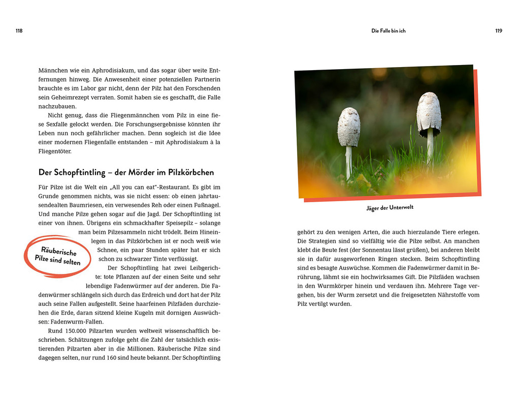 Weitere Ansicht: True Crime in Nature | Farina Graßmann