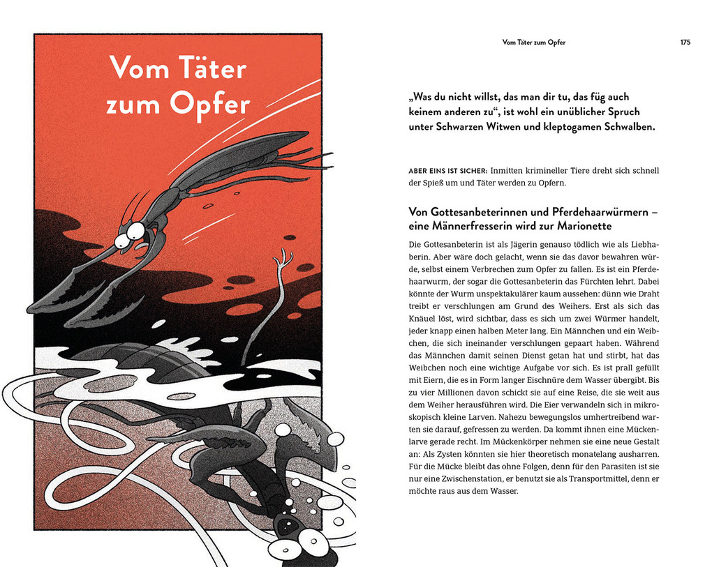 Weitere Ansicht: True Crime in Nature | Farina Graßmann