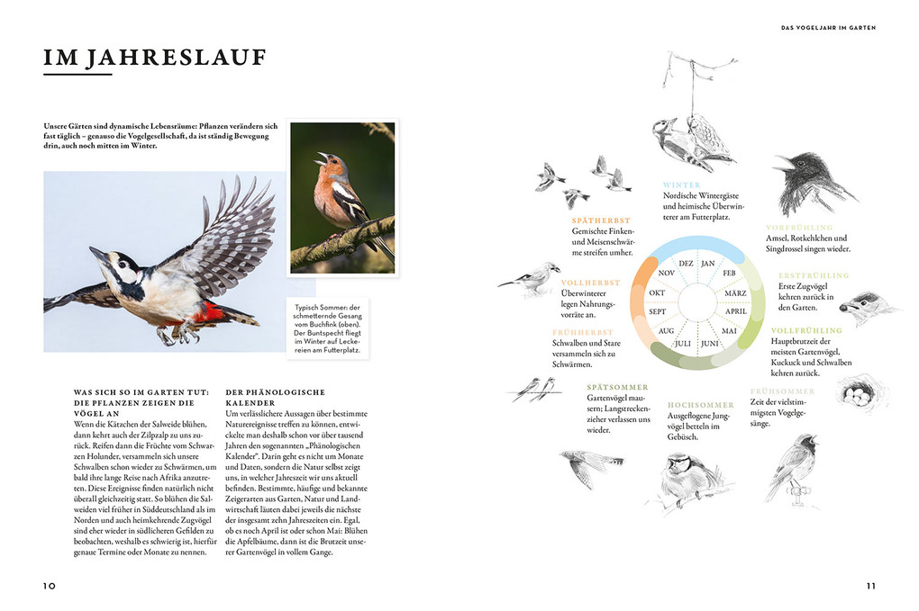 Weitere Ansicht: Das Buch der Gartenvögel | Katrin Hecker, Frank Hecker, Henrike Kelsch