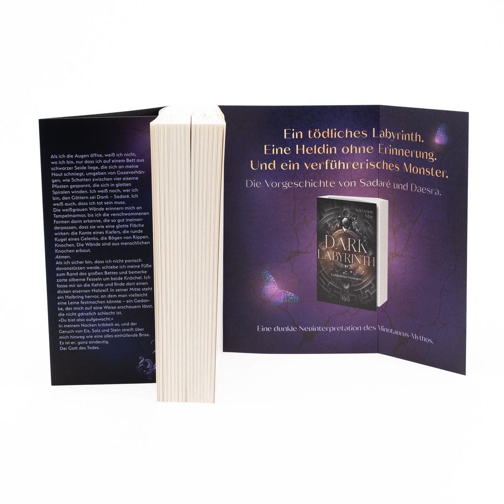 Weitere Ansicht: Dark Descent - Göttliche Rivalen | AdriAnne May