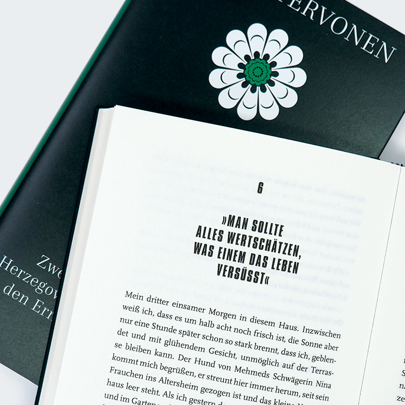 Weitere Ansicht: Die Reparatur der Lebenden | Taina Tervonen