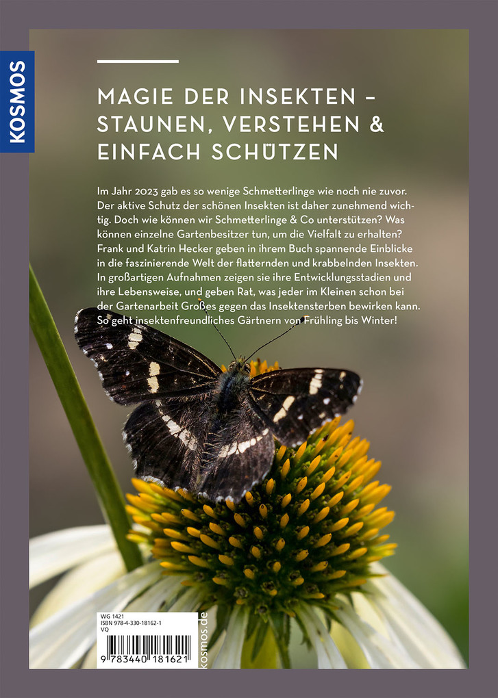 Weitere Ansicht: Wer Schmetterlinge liebt, muss Raupen füttern | Katrin Hecker, Frank Hecker