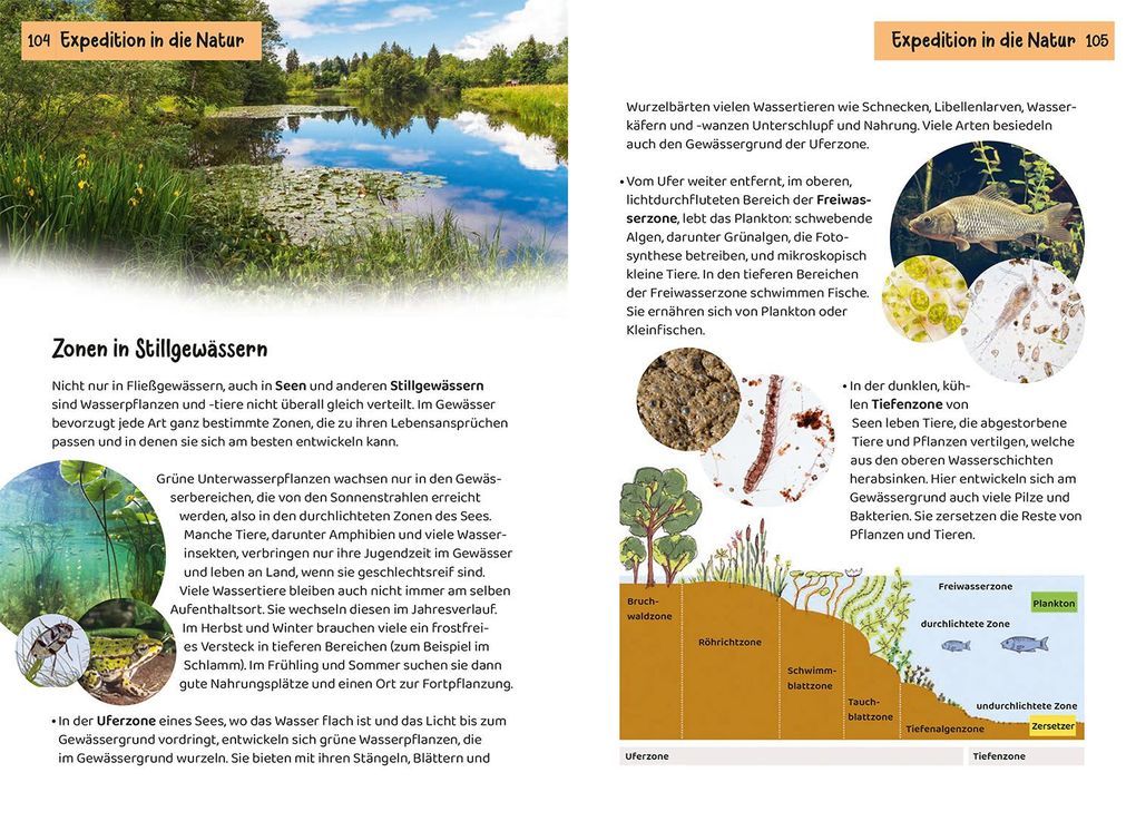 Weitere Ansicht: Was lebt an Bach und Teich? Kindernaturführer | Anita van Saan