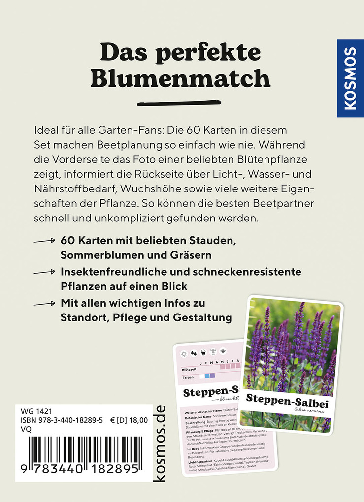 Weitere Ansicht: Lilie liebt Sonnenhut | Angelika Throll