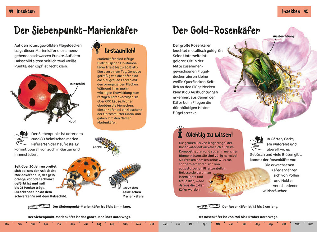 Weitere Ansicht: Was lebt im Garten? Kindernaturführer | Bärbel Oftring