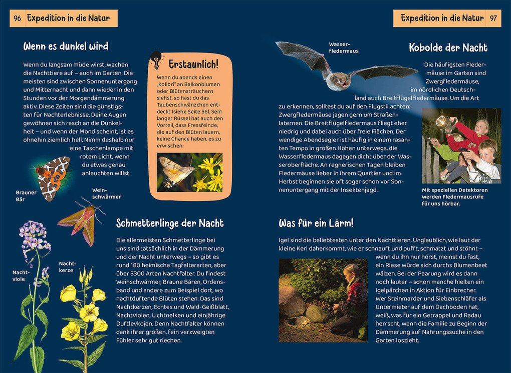 Weitere Ansicht: Was lebt im Garten? Kindernaturführer | Bärbel Oftring