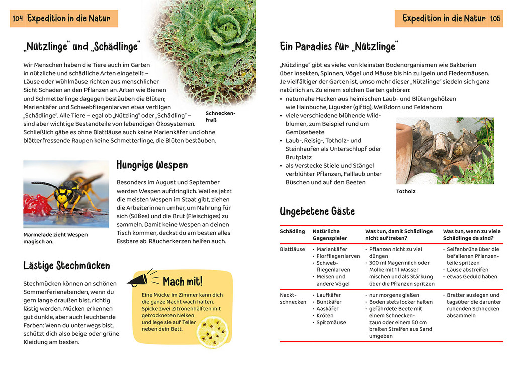 Weitere Ansicht: Was lebt im Garten? Kindernaturführer | Bärbel Oftring