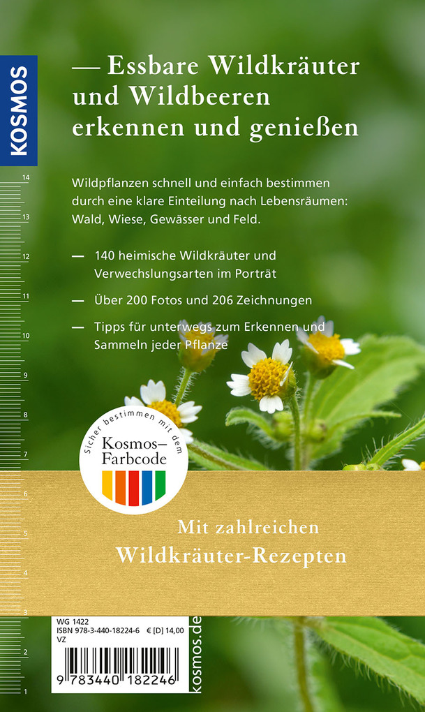 Weitere Ansicht: Essbare Wildkräuter und Wildbeeren für unterwegs | Rudi Beiser