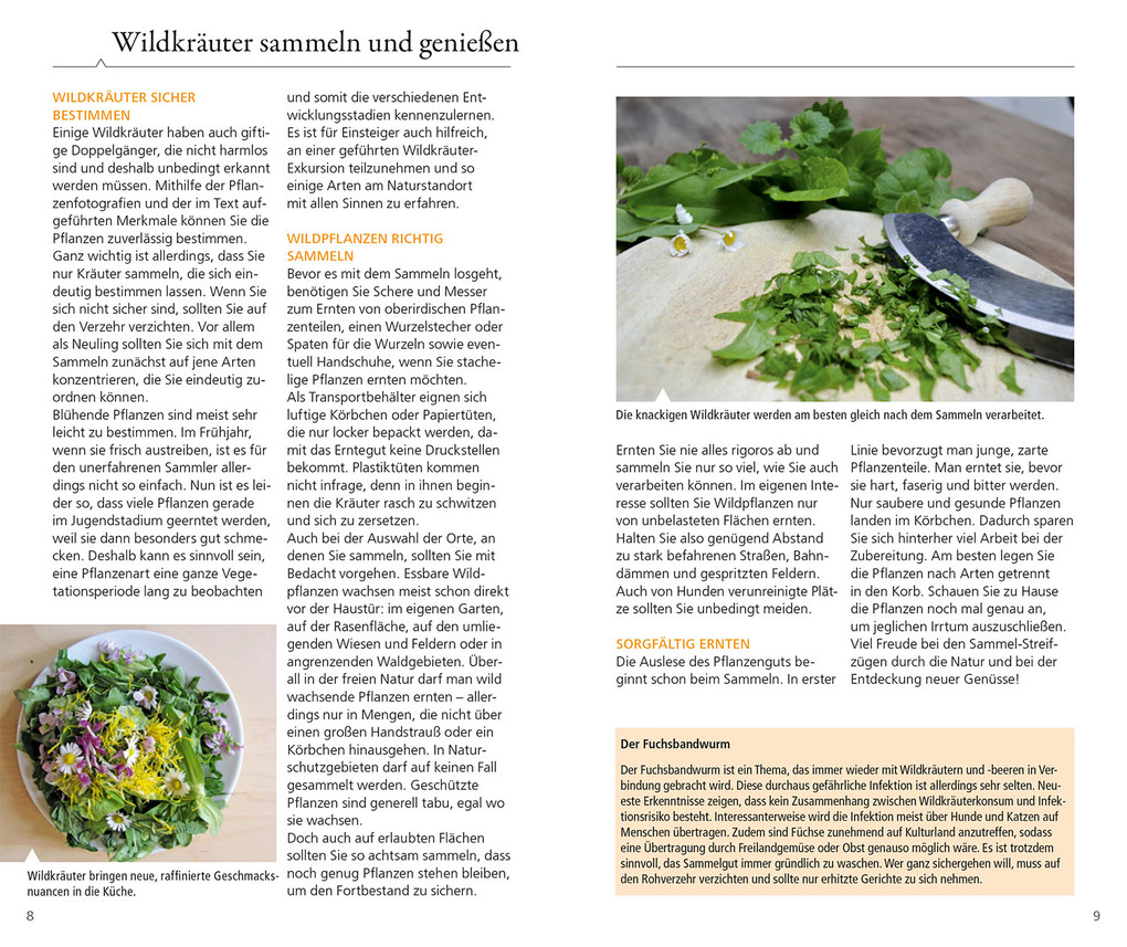 Weitere Ansicht: Essbare Wildkräuter und Wildbeeren für unterwegs | Rudi Beiser