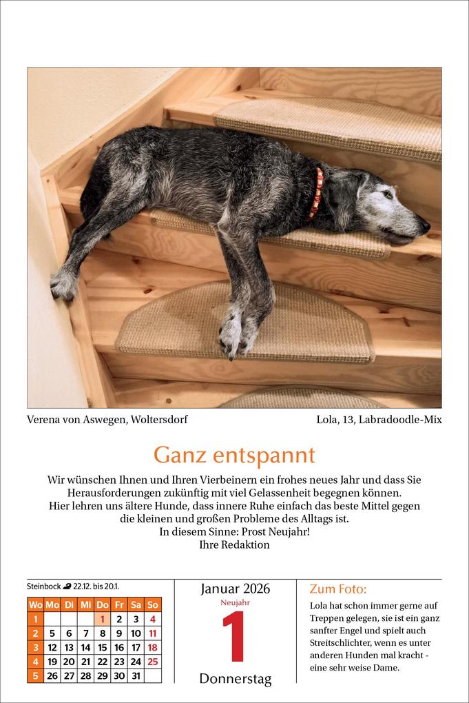Weitere Ansicht: Hunde Tageskalender 2026