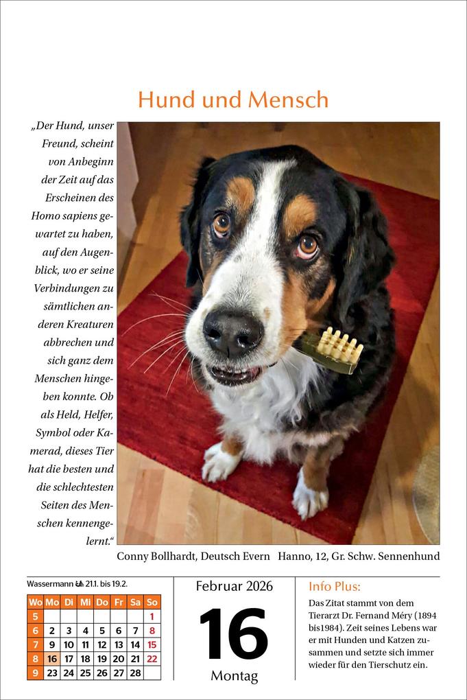 Weitere Ansicht: Hunde Tageskalender 2026