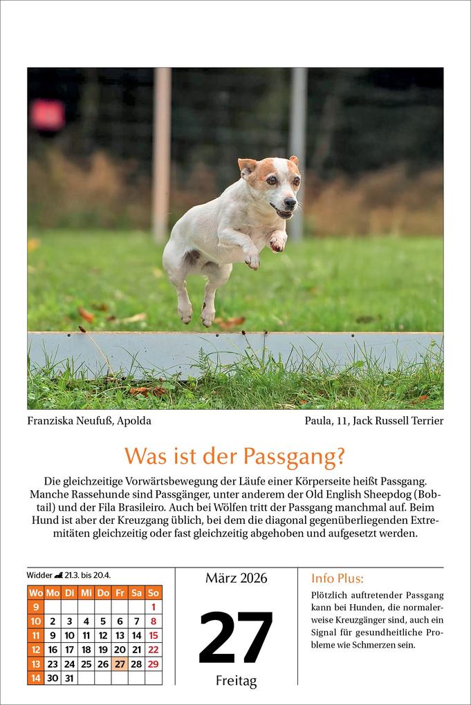 Weitere Ansicht: Hunde Tageskalender 2026