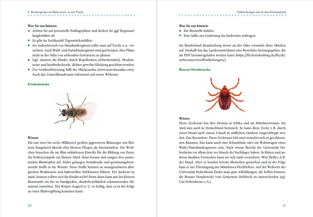 Weitere Ansicht: Naturraum-Pädagogik | Ingrid Miklitz