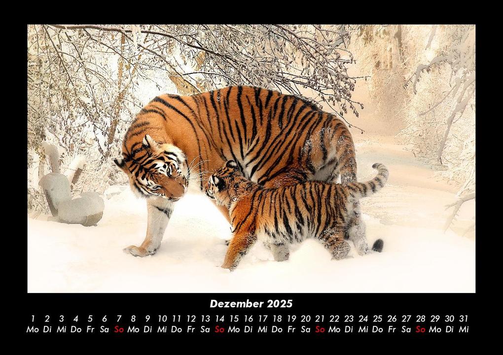 Weitere Ansicht: Tiger 2025 Fotokalender DIN A3 | Tobias Becker