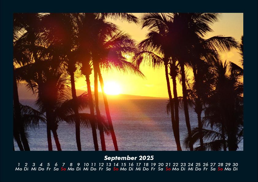 Weitere Ansicht: Palmentraum 2025 Fotokalender DIN A4 | Tobias Becker