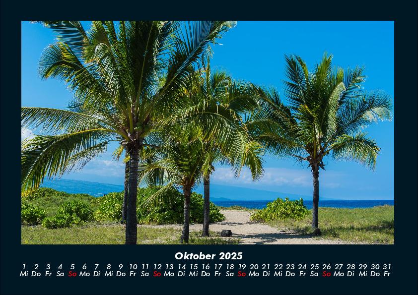 Weitere Ansicht: Palmentraum 2025 Fotokalender DIN A4 | Tobias Becker