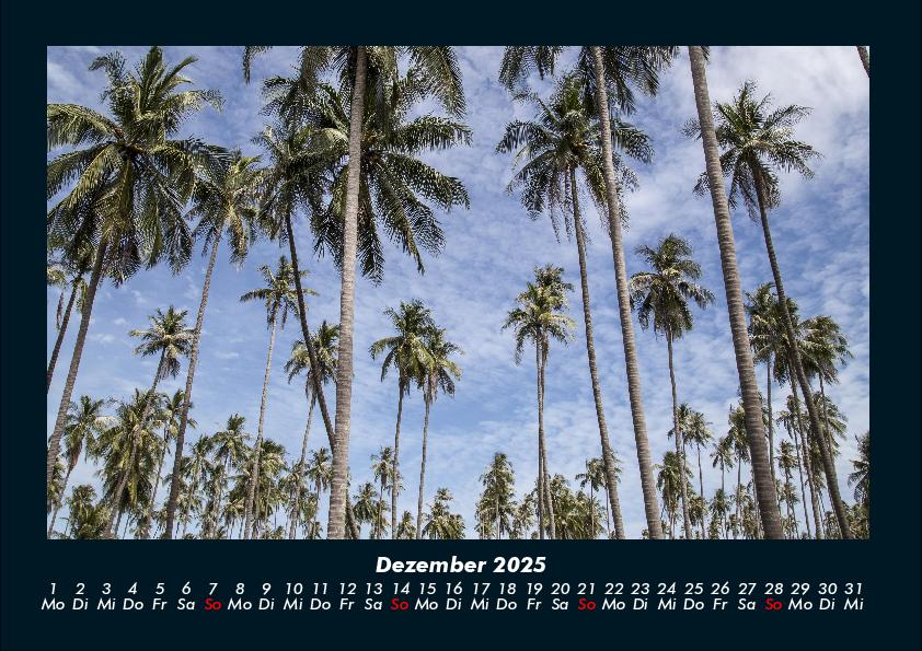 Weitere Ansicht: Palmentraum 2025 Fotokalender DIN A4 | Tobias Becker