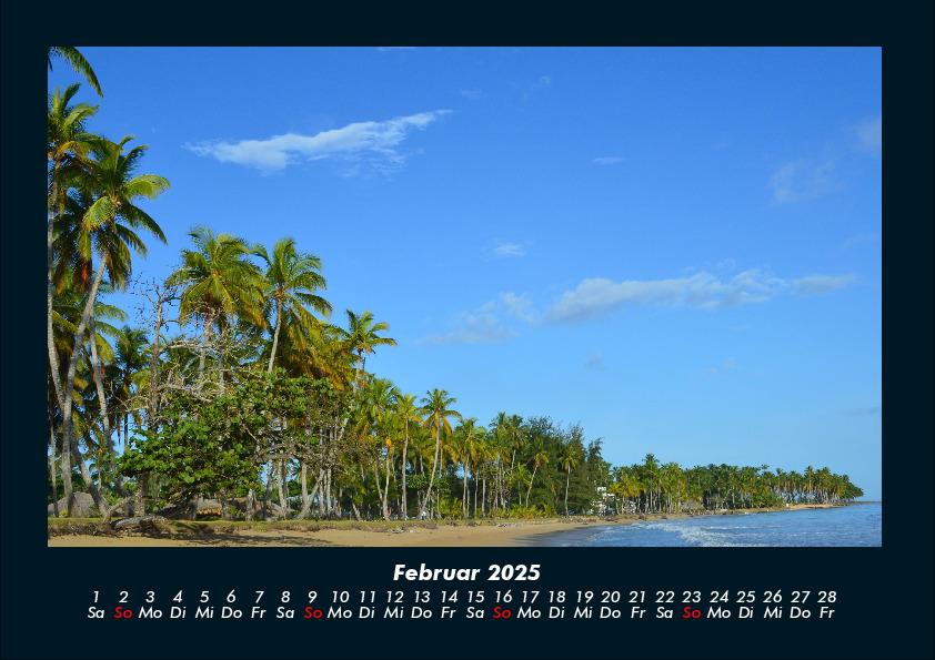 Weitere Ansicht: Palmentraum 2025 Fotokalender DIN A4 | Tobias Becker