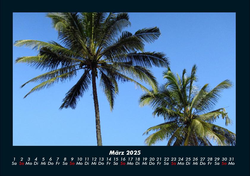 Weitere Ansicht: Palmentraum 2025 Fotokalender DIN A4 | Tobias Becker