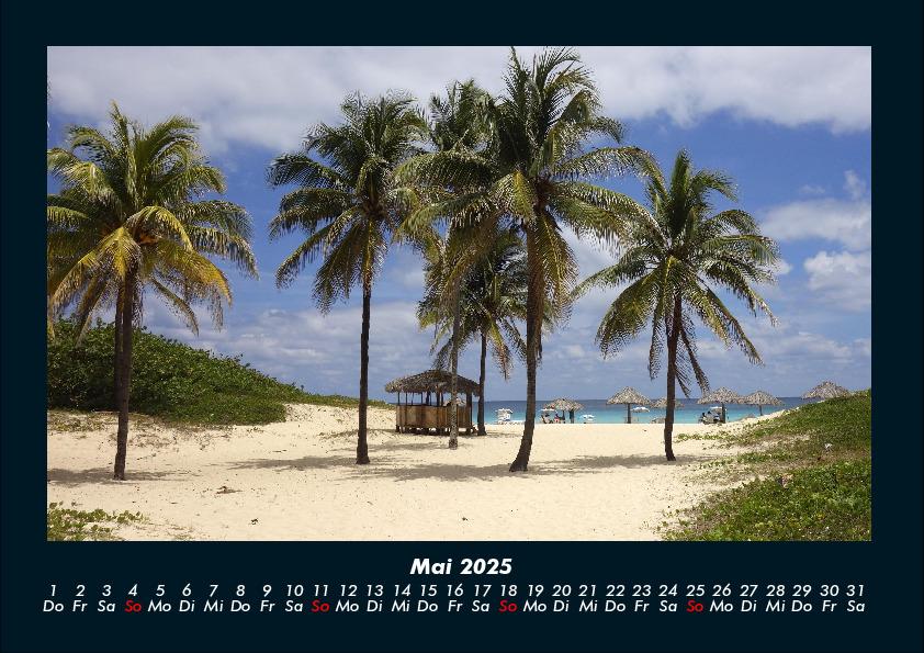 Weitere Ansicht: Palmentraum 2025 Fotokalender DIN A4 | Tobias Becker