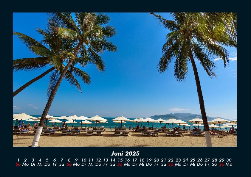 Weitere Ansicht: Palmentraum 2025 Fotokalender DIN A4 | Tobias Becker