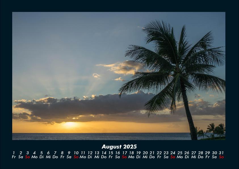 Weitere Ansicht: Palmentraum 2025 Fotokalender DIN A4 | Tobias Becker