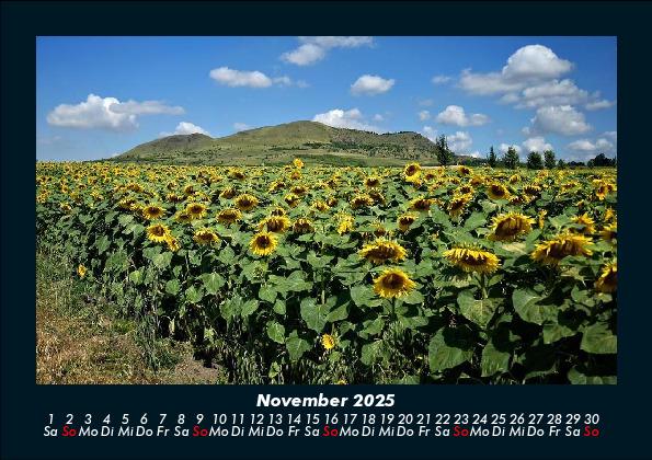 Weitere Ansicht: Blumenträume 2025 Fotokalender DIN A5 | Tobias Becker