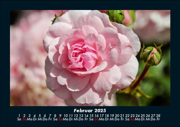 Weitere Ansicht: Blumenträume 2025 Fotokalender DIN A5 | Tobias Becker