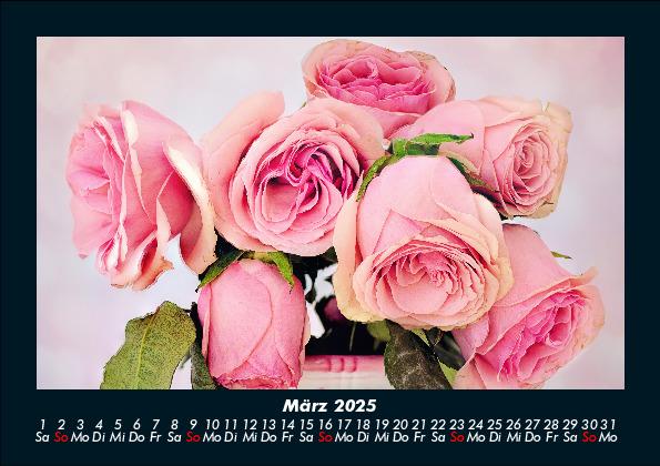 Weitere Ansicht: Blumenträume 2025 Fotokalender DIN A5 | Tobias Becker