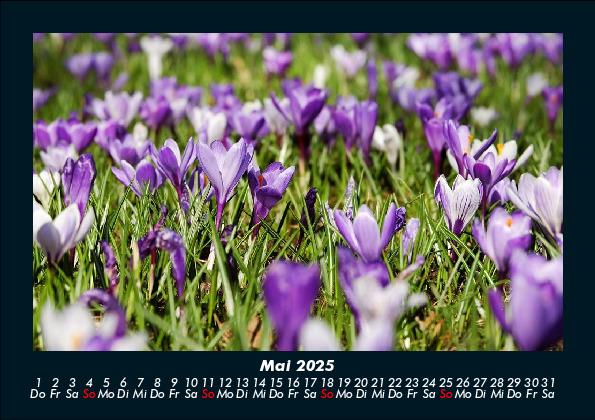 Weitere Ansicht: Blumenträume 2025 Fotokalender DIN A5 | Tobias Becker
