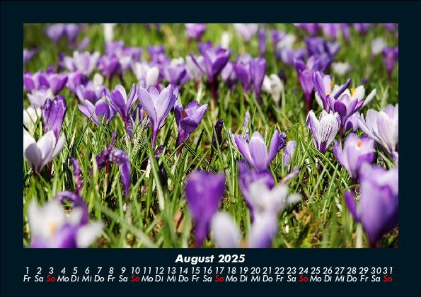 Weitere Ansicht: Blumenträume 2025 Fotokalender DIN A5 | Tobias Becker