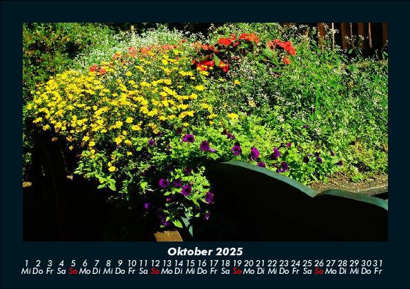 Weitere Ansicht: Blumenkalender 2025 Fotokalender DIN A5 | Tobias Becker