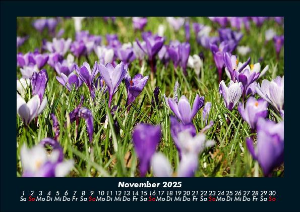 Weitere Ansicht: Blumenkalender 2025 Fotokalender DIN A5 | Tobias Becker