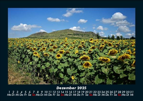 Weitere Ansicht: Blumenkalender 2025 Fotokalender DIN A5 | Tobias Becker