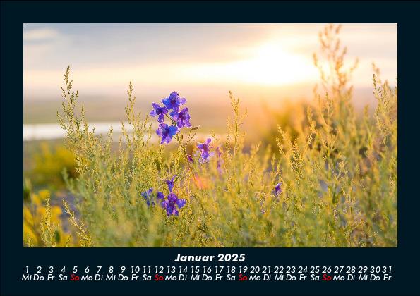 Weitere Ansicht: Blumenkalender 2025 Fotokalender DIN A5 | Tobias Becker